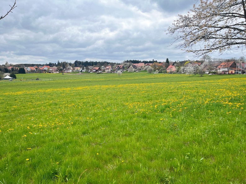 23-04-30 13-38-45 5242.jpeg